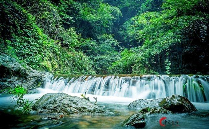动词游戏
